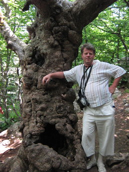 Денис Ремезов