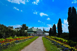 Александра Гай