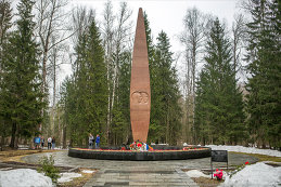 Анатолий Денесюк