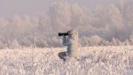 Катерина Дубровская 