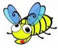 Crazy Bee