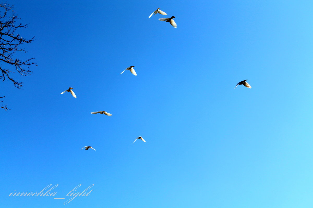 Навстречу лету! - Инна Дегтяренко