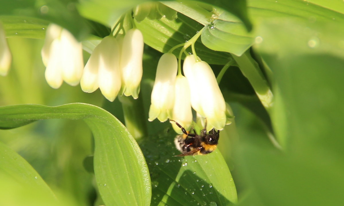 надо, надо умываться - Валентина 
