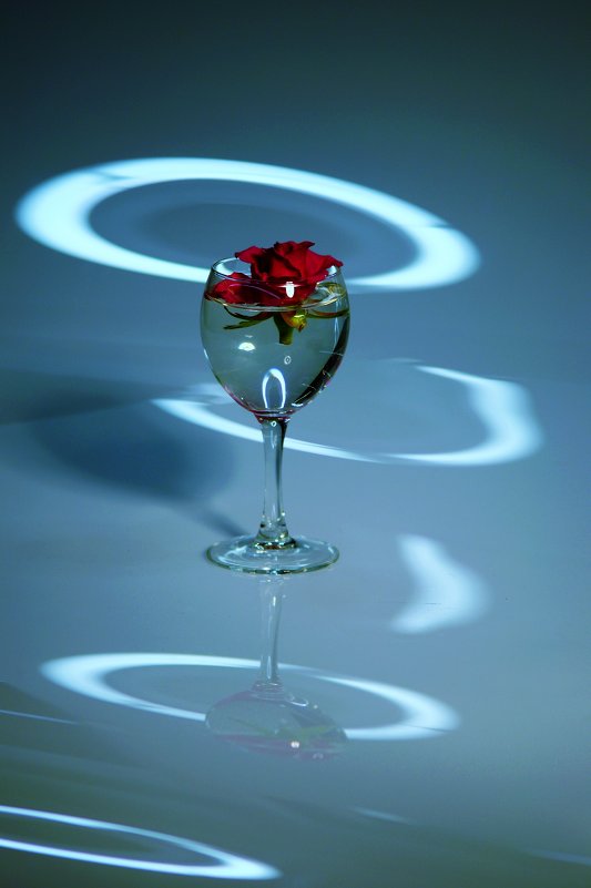 Натюрморт - Александр Горелов