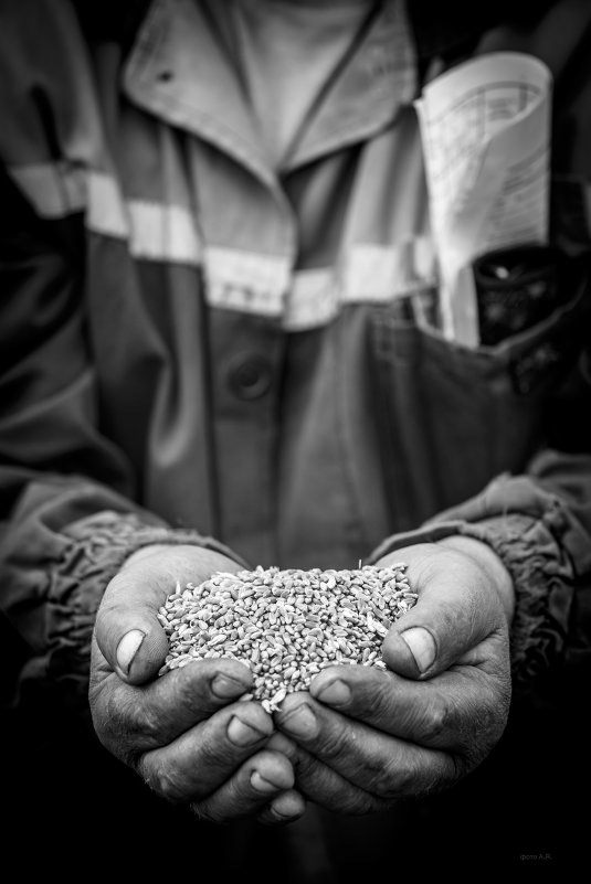 Умелые Руки - андрей Язовских