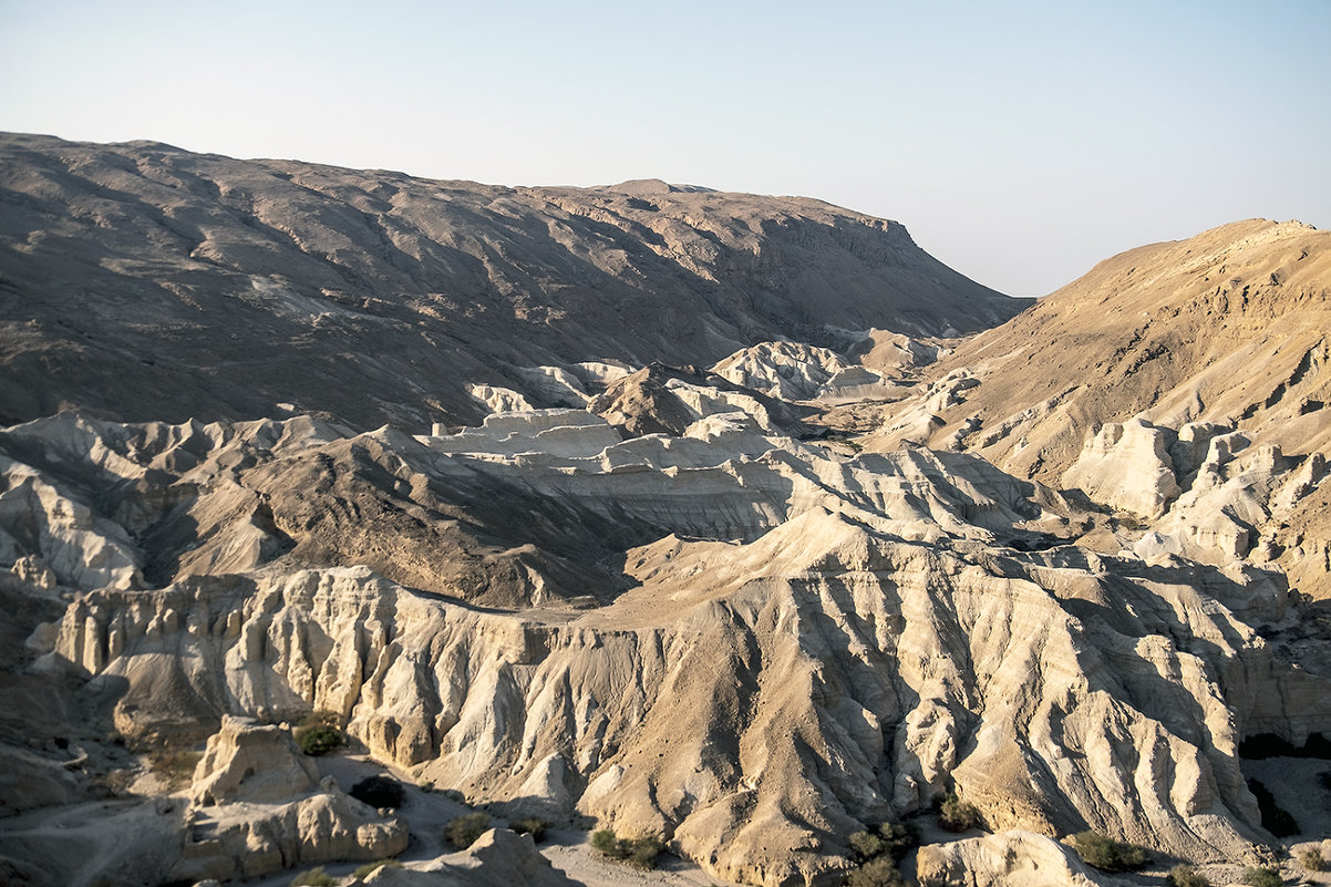 Арава - Александр Липовецкий