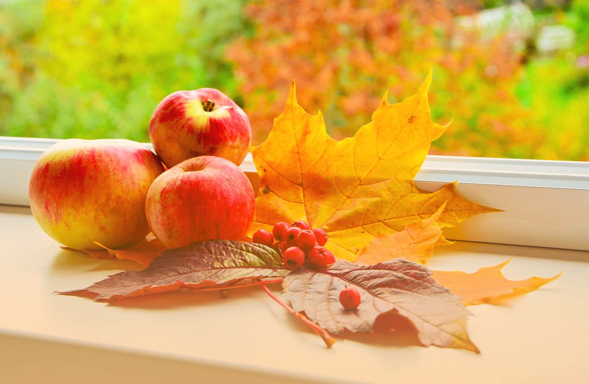 Дары осени - Галина Витушкина Дары осени - Галина Витушкина