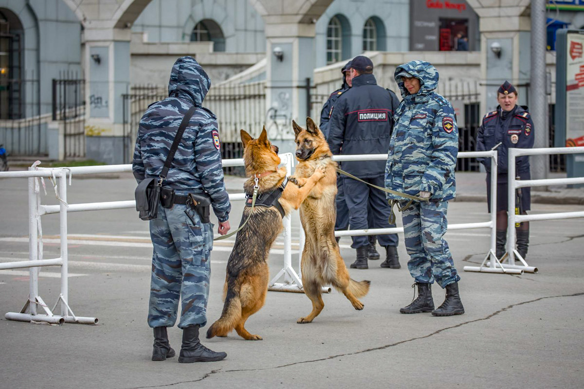 И на службе есть место дружбе... - Елена Черненко