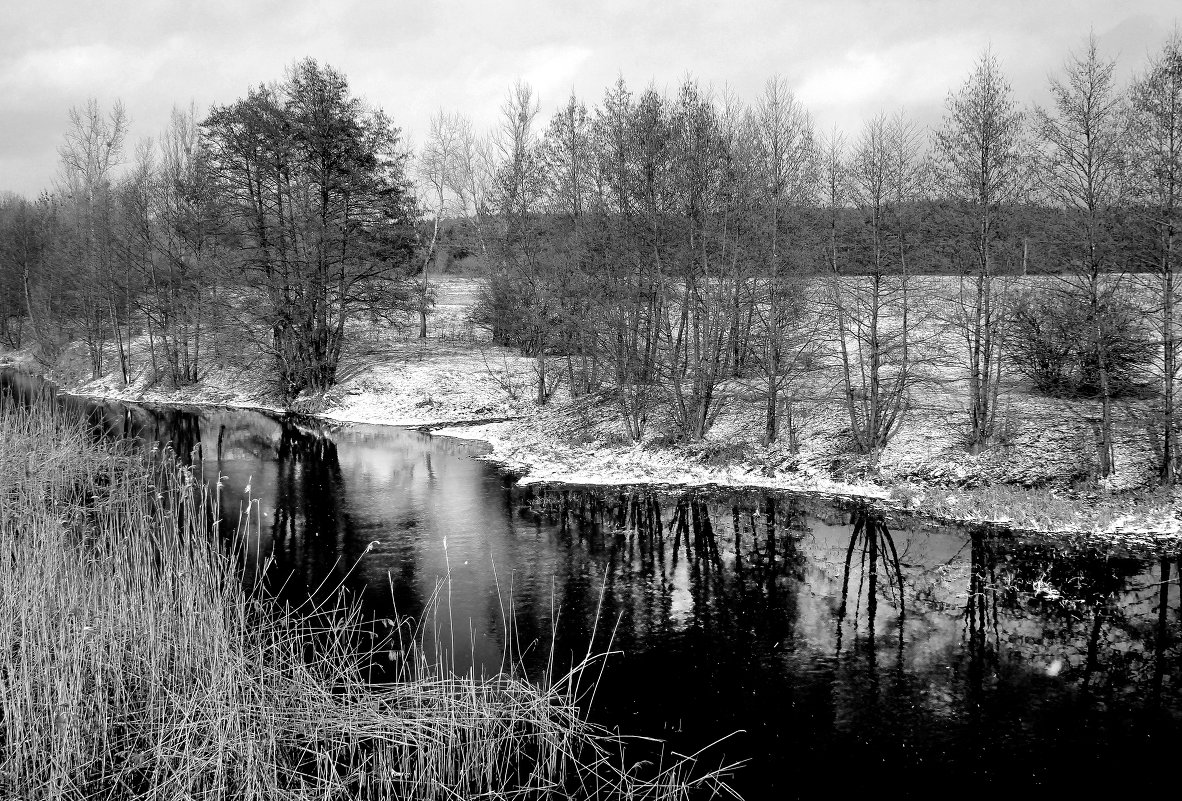Весна Ворскле - Анатолий Герасимов