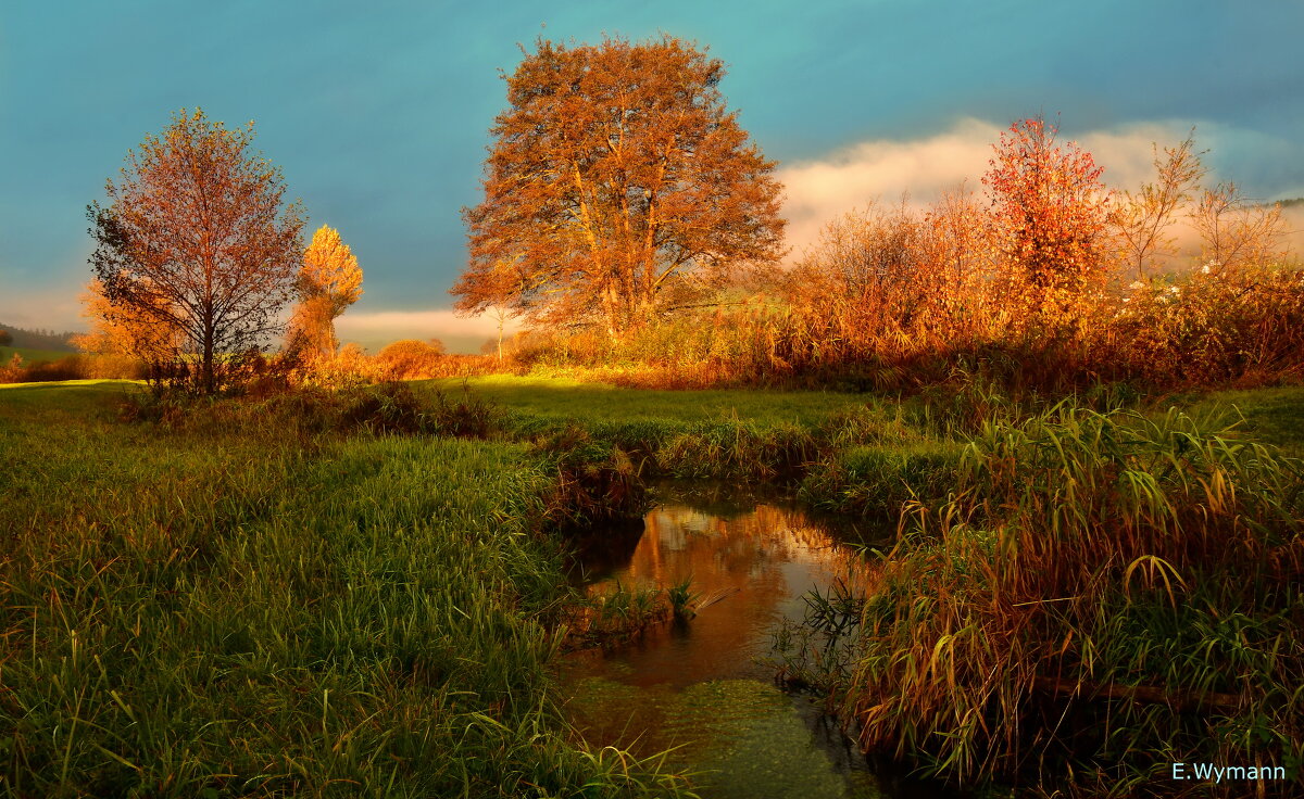 осень на рассвете - Elena Wymann