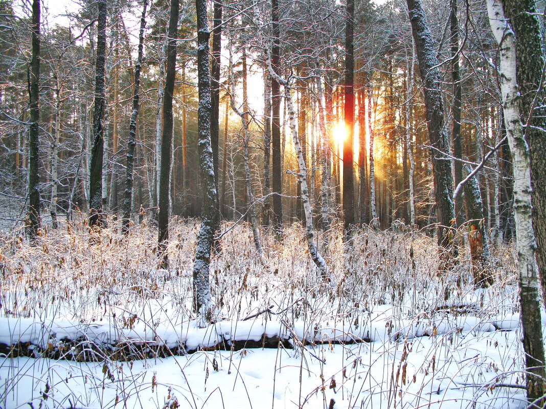 ЗАКАТ - валентина 