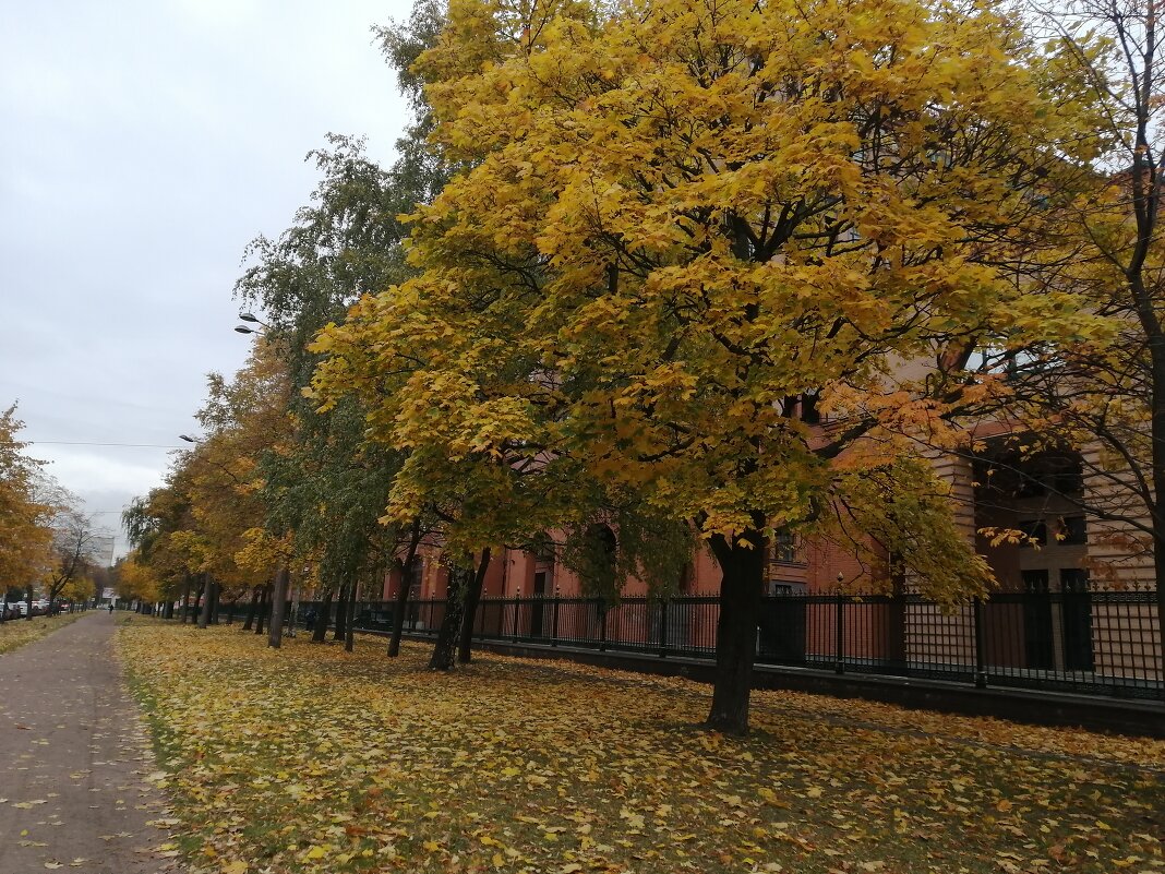 Осень - Митя Дмитрий Митя