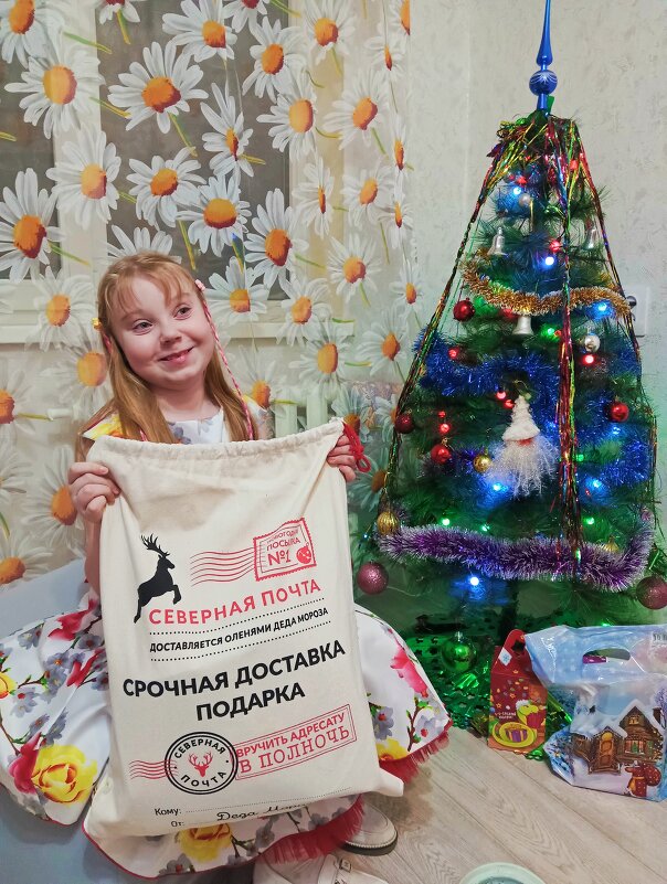 Новогодний миг - ольга хакимова