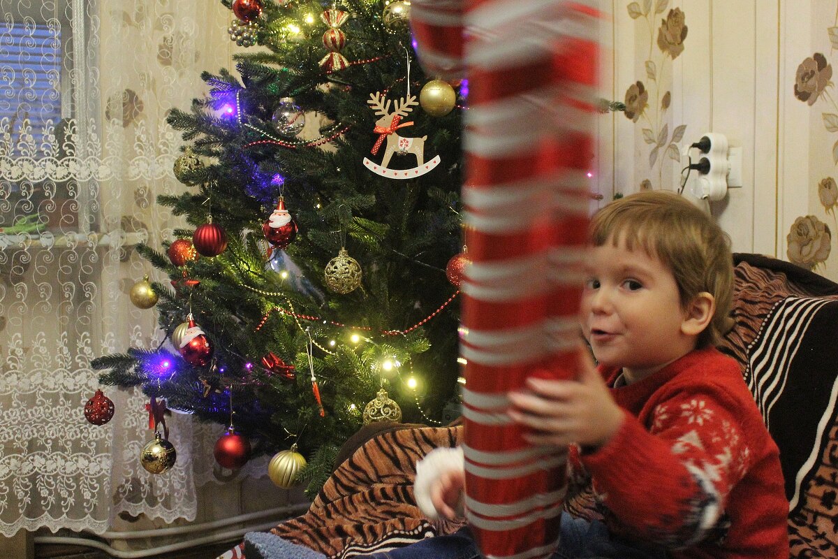 Новогодний миг - Светлана Баталий