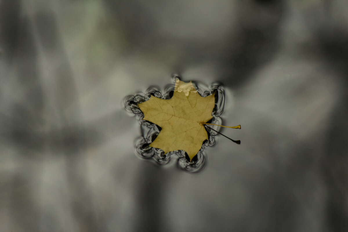 Лист - Ирина **