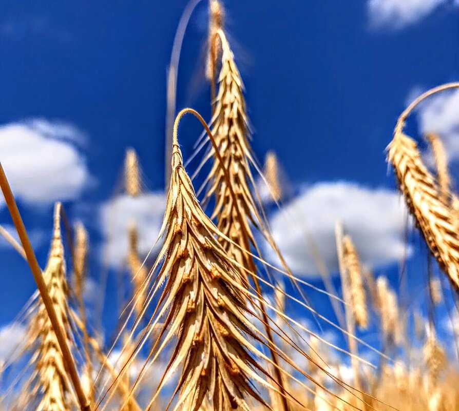 ... - Владимир 