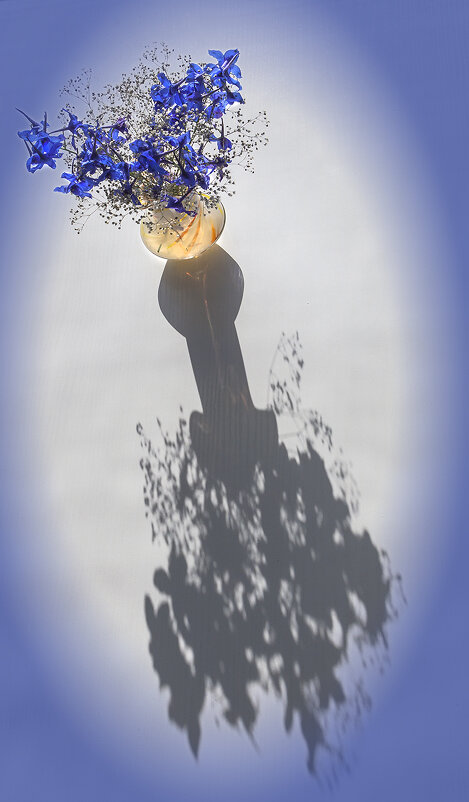 Голубая мечта. - Лилия *