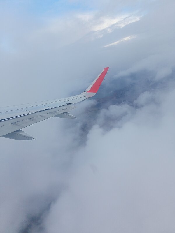 Крыло - Юра Светлаков