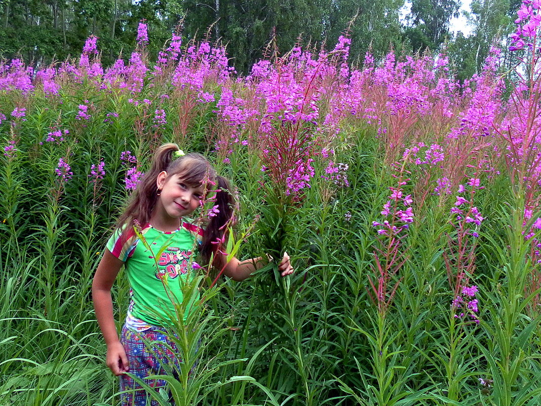 Когда кипрей растёт быстрее. - nadyasilyuk Вознюк