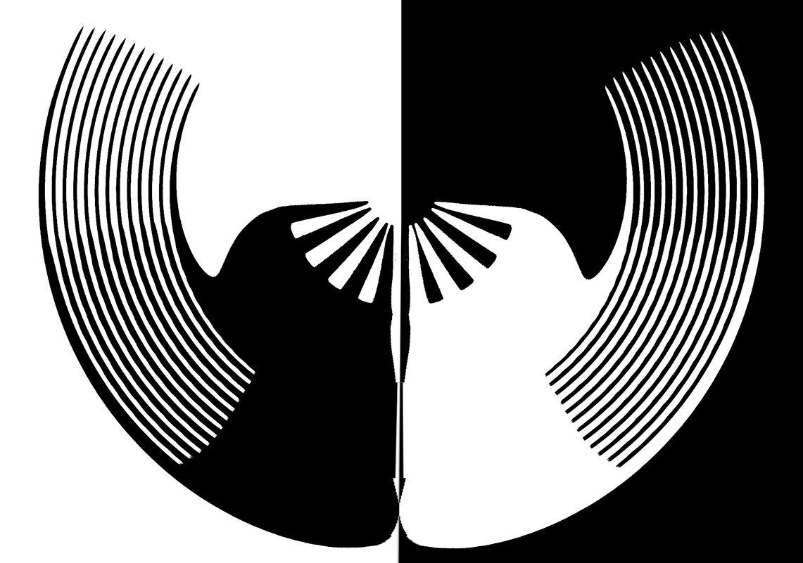 Черный и белый голубь - Ivan VIKAR