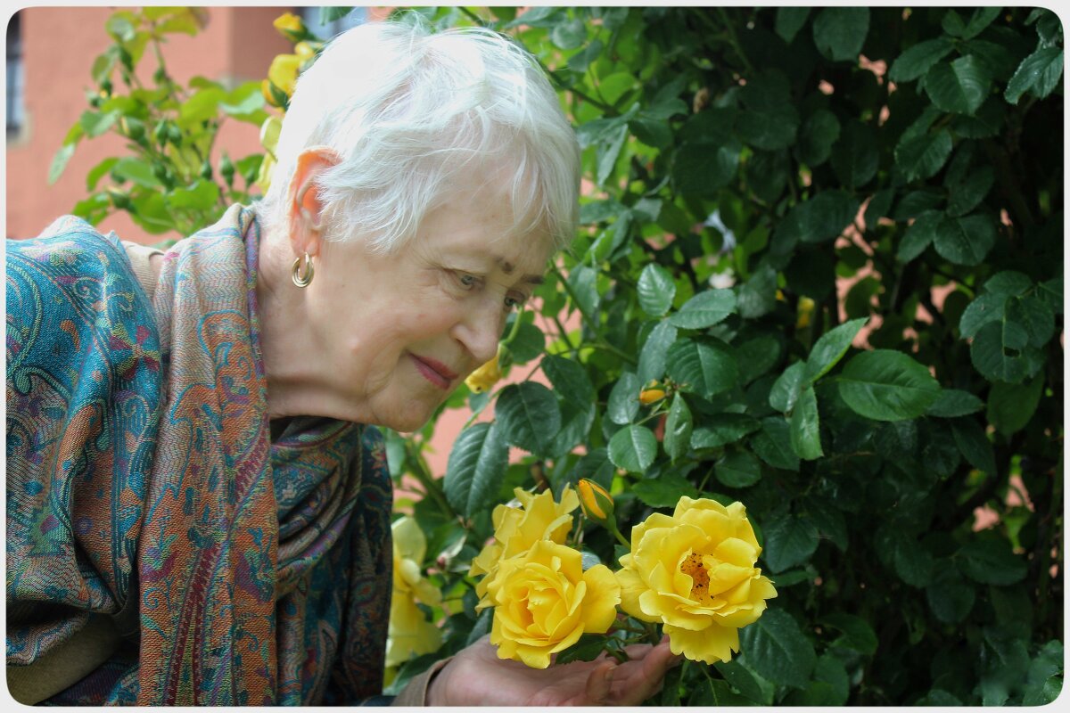 розы - Светлана Баталий