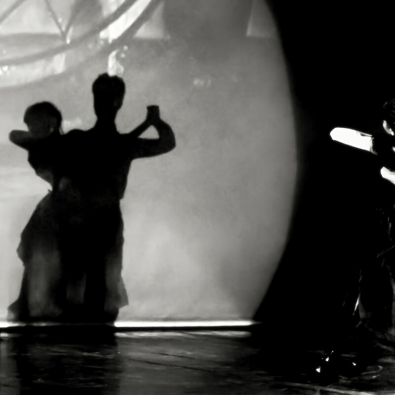 Вальс теней - Игорь Викторов