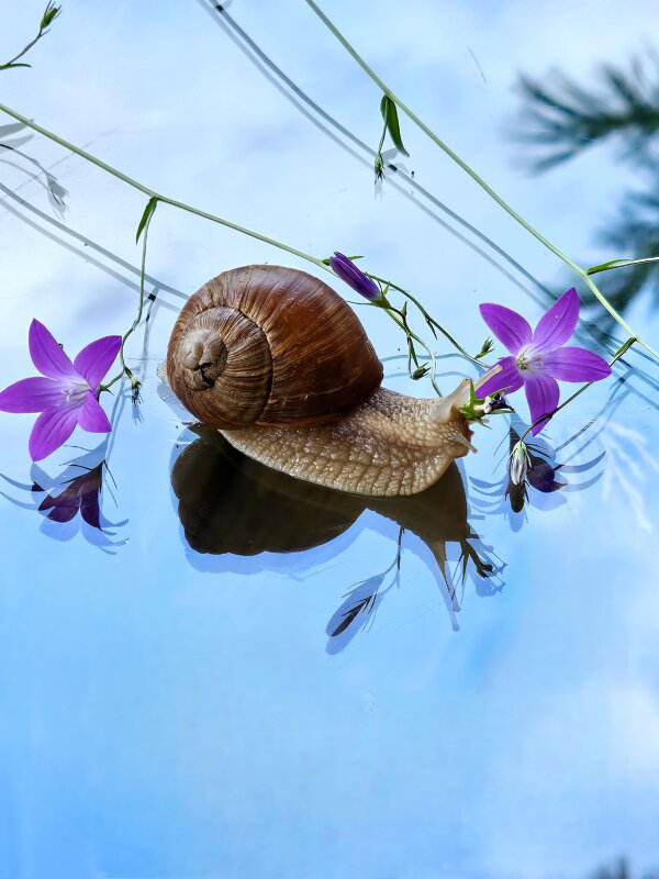 ... - Галина Левина