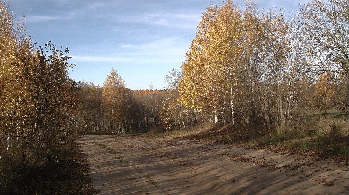 Прощальный Осени мотив - Olga Oskolkova