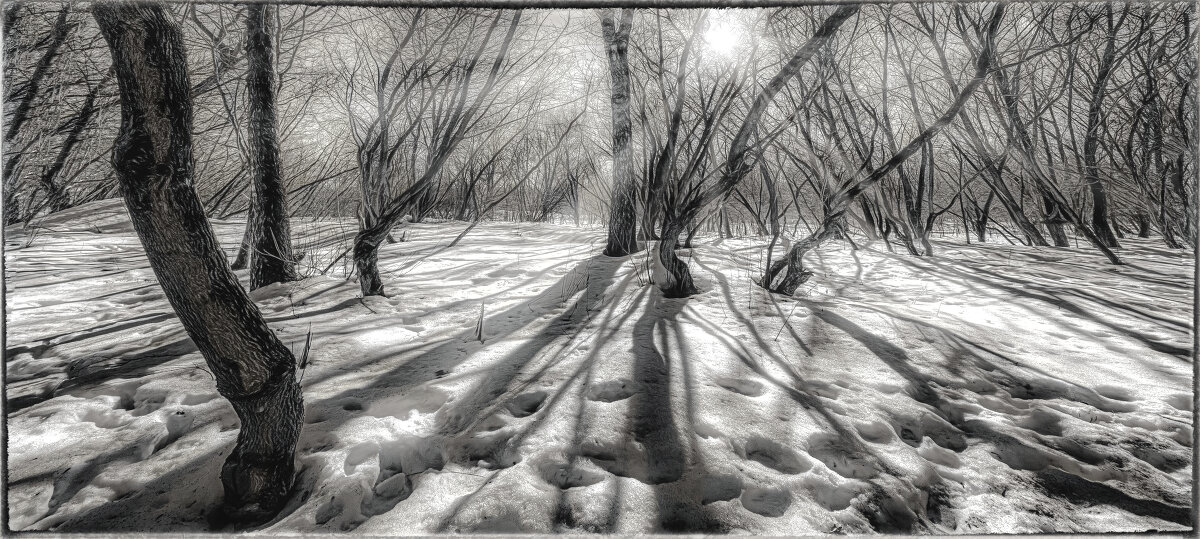 Скоро весна. - Владимир Владимир