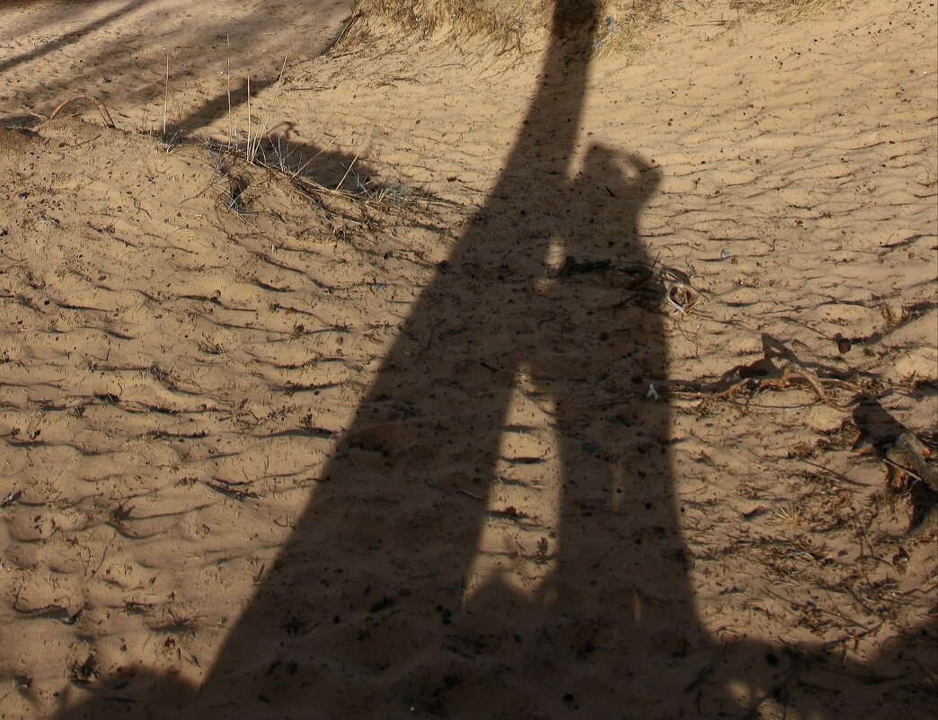 Тени на песке - Наталья Герасимова