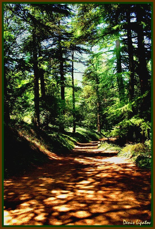 dorojka - Denis Lipatov