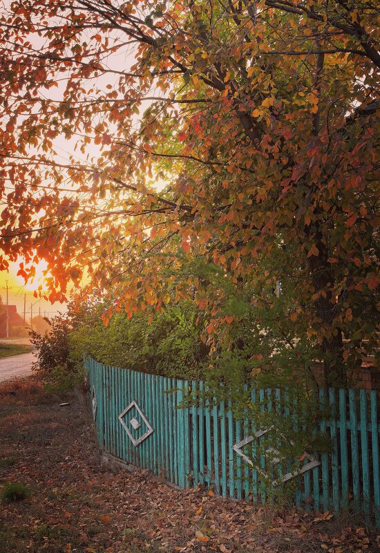 "Осенняя гармония природы" :: Анна "Осенняя гармония природы" :: Анна