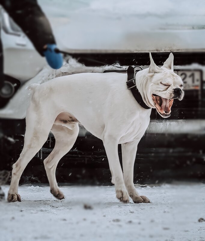 Ааааа - Ольга Гончарова