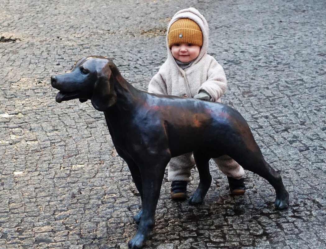 Ах, какая симпатичная собачка! - Aida10 