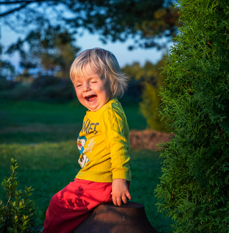 Даримирчик - Crazy Bee