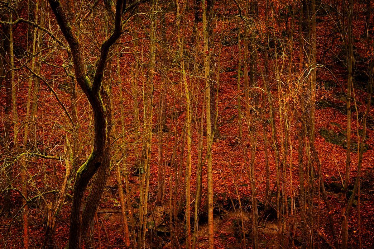 Тонкость... - Лана Григорьева