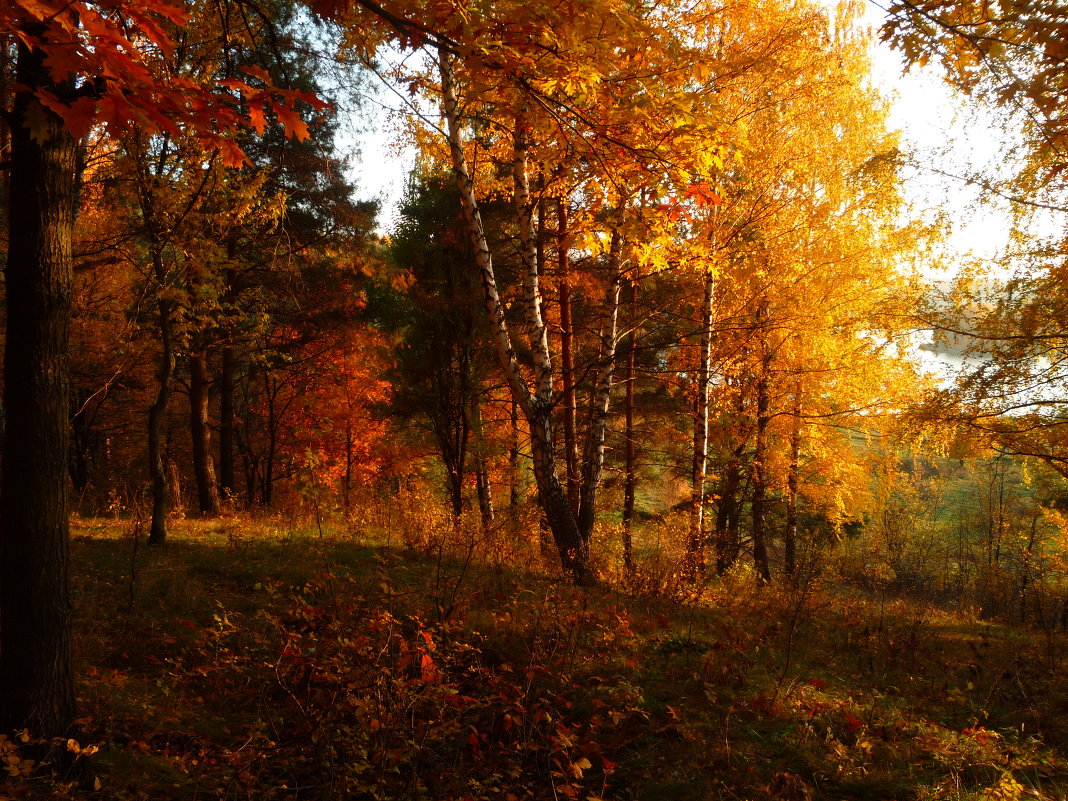 ... - Юлия Грей