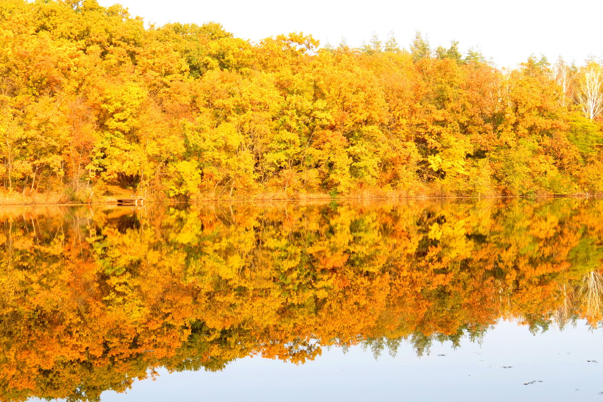 Золотая осень - Yuri 