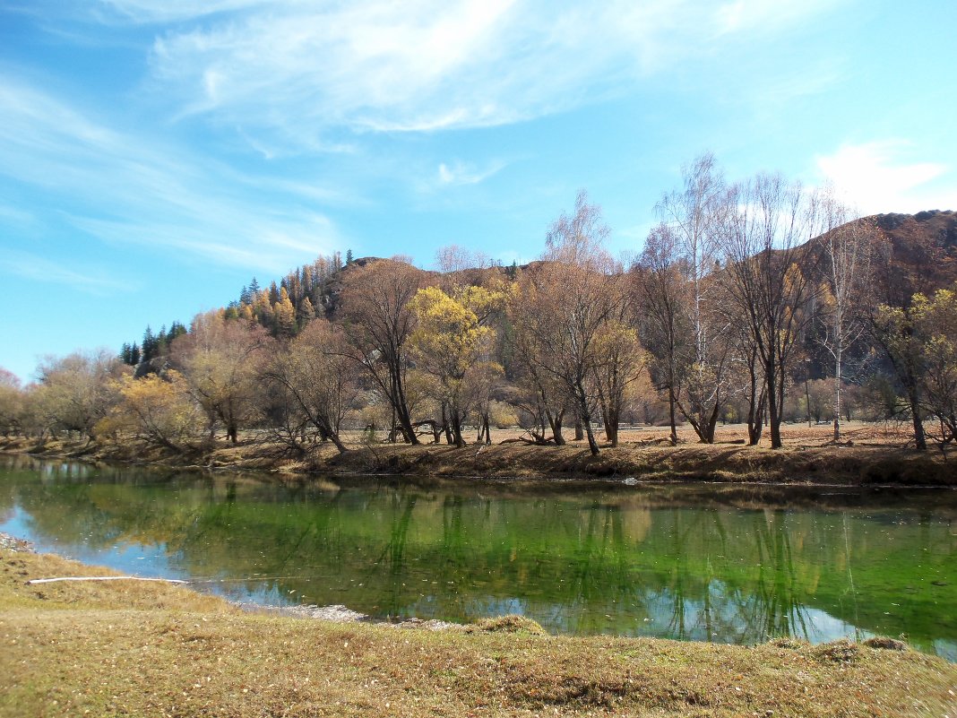 чудо  осени - Людмила 