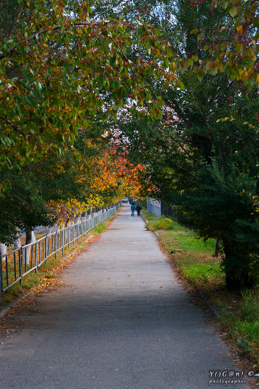 ... - Тарас Черевков