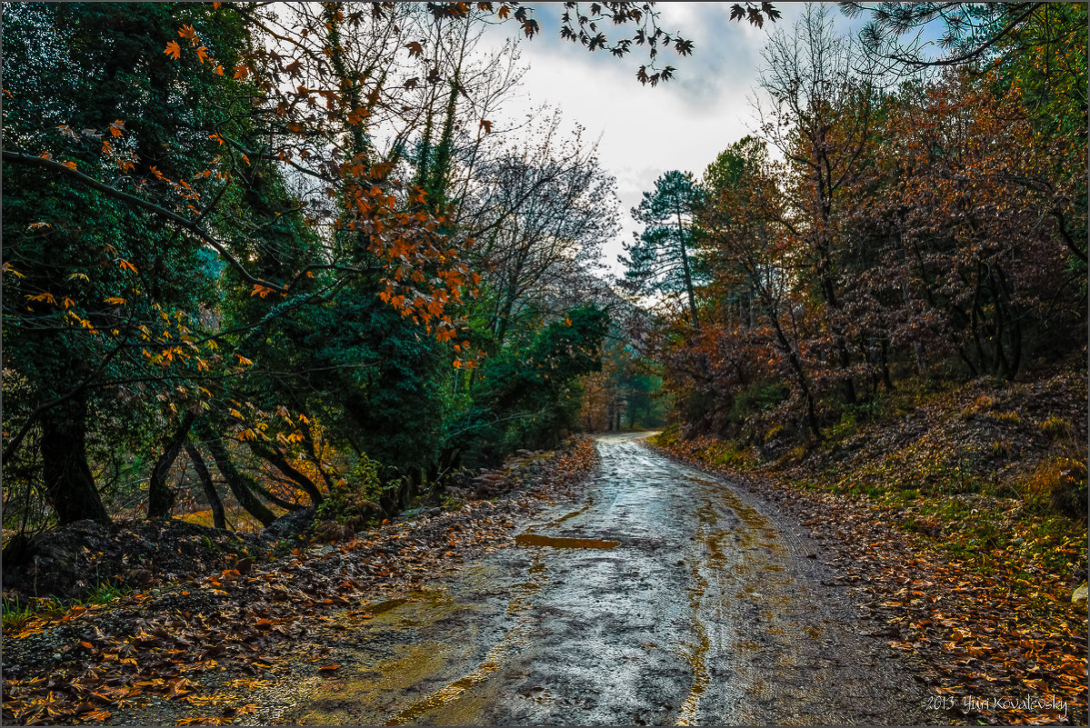 Осенняя дорога в горы. - yurikov 