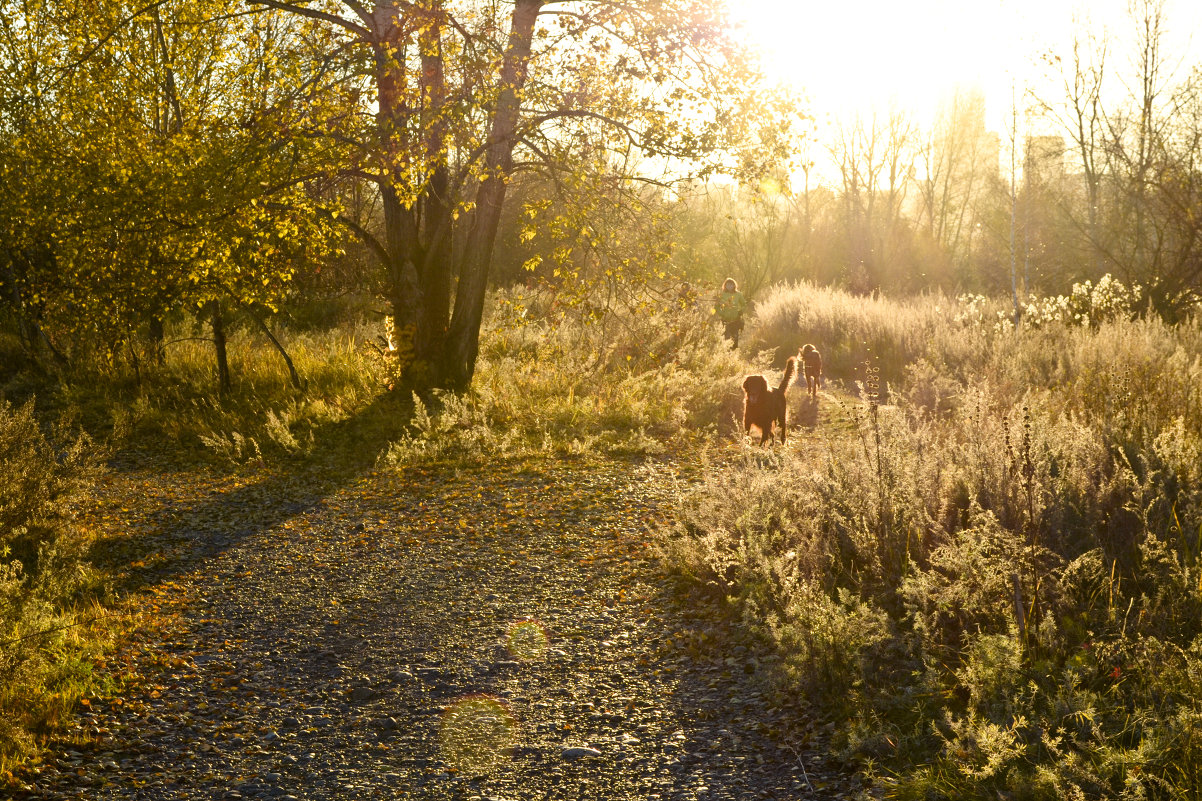 *** - Валентин Жеребятников *** - Валентин Жеребятников