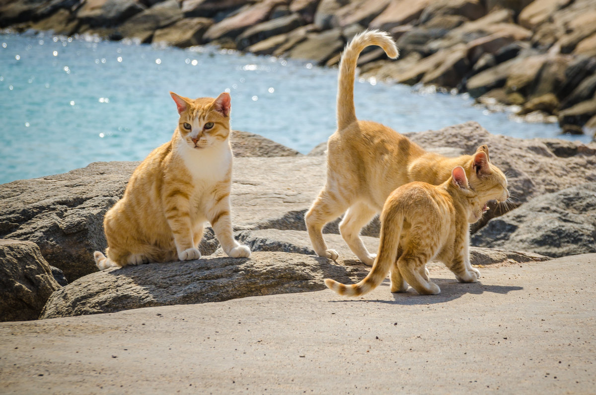 семья - Евгений Тукин семья - Евгений Тукин