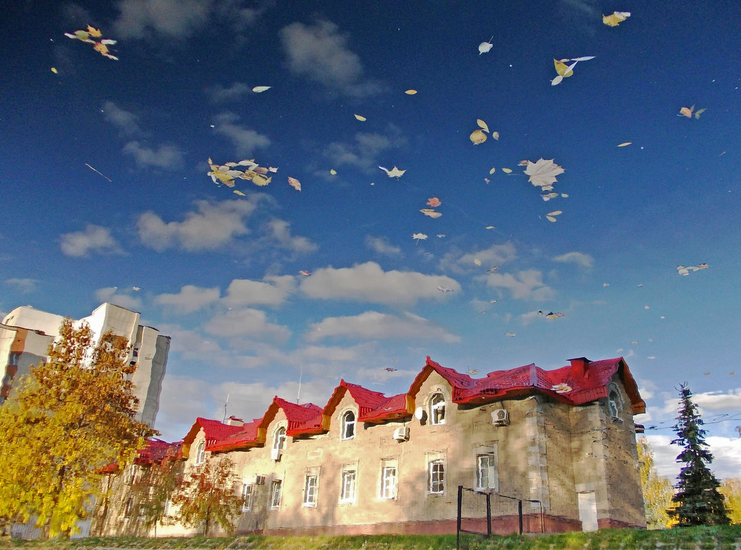 Отраженный мир - Ирина Артемьева