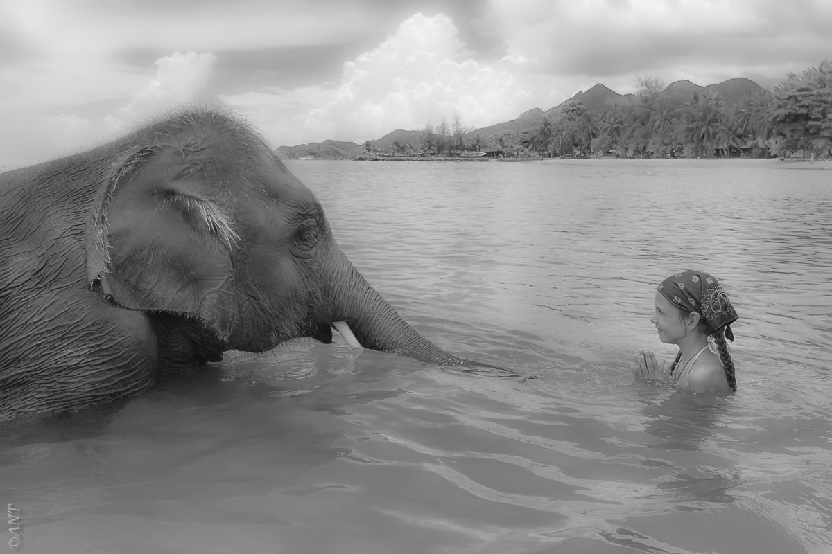 Мечта - Nastya Tretyakova