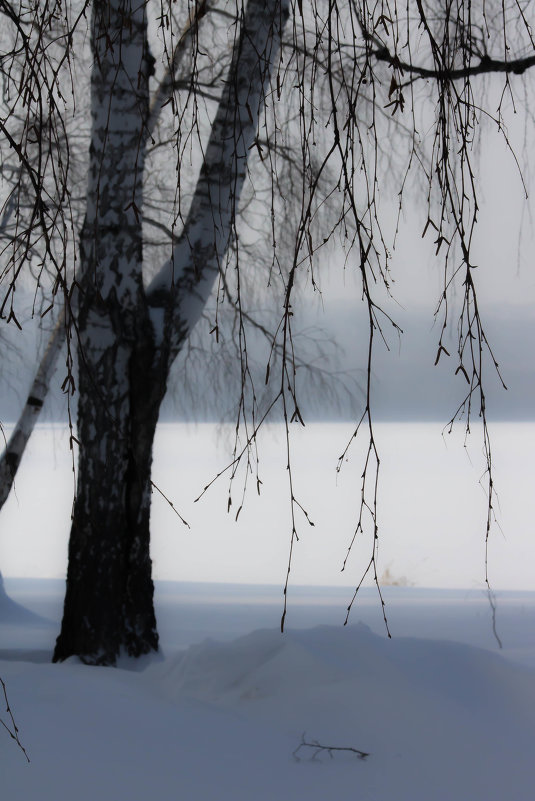 серёжки - < А н г е л и н а >