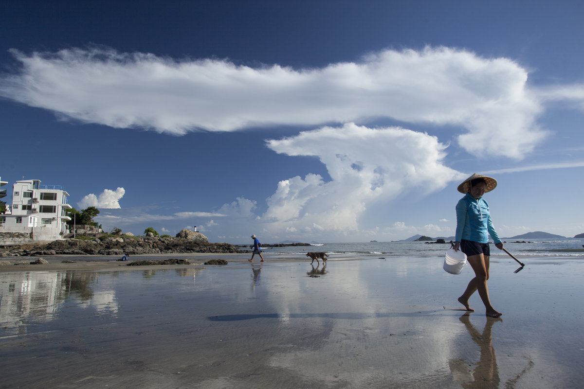 Отлив - Михаил Симонов 