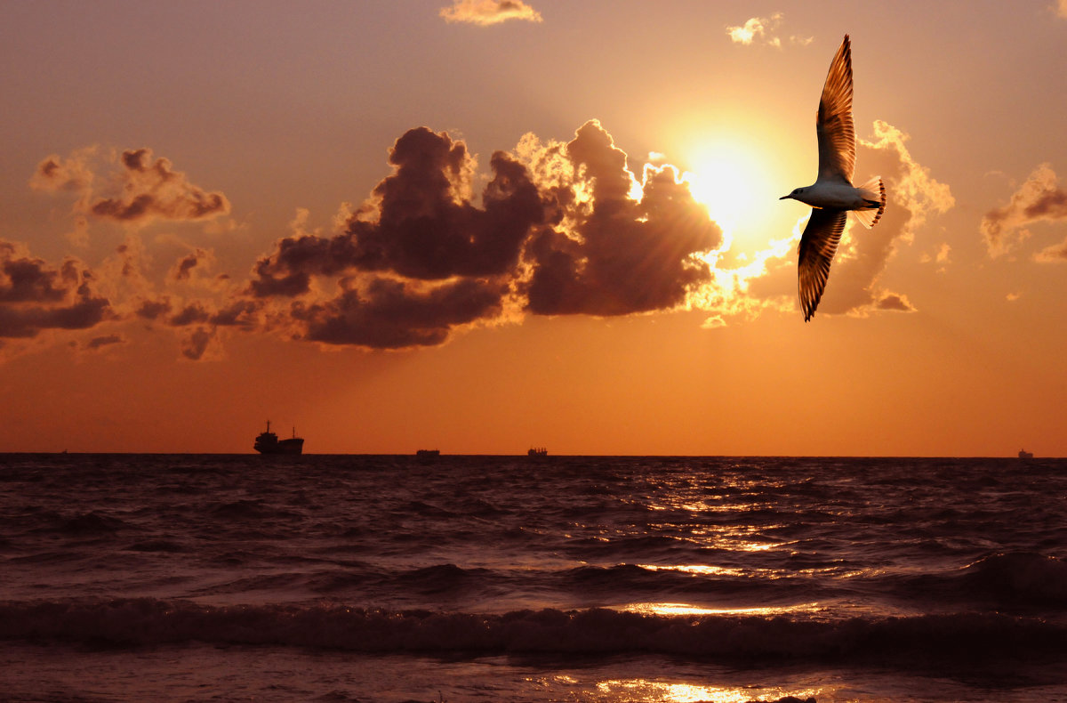 Вечерняя - Игорь Юрьев