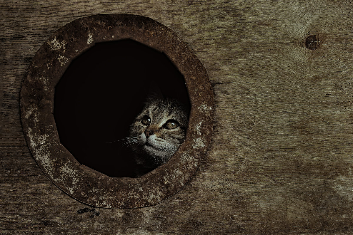 Свой мир - TURAKHMET 