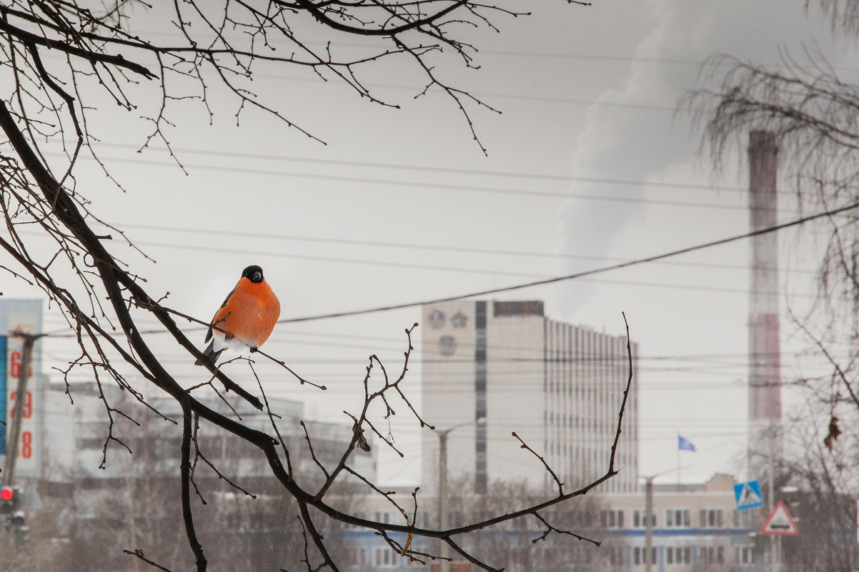 ... - Александр Ефименко